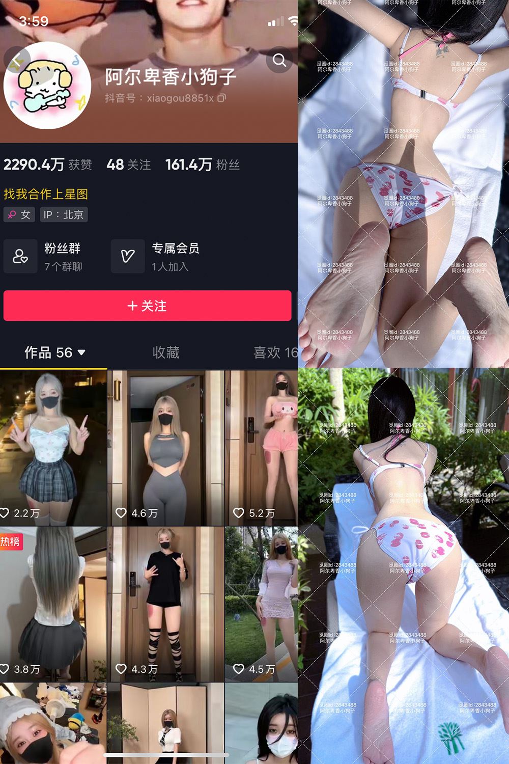 抖音 阿尔卑香小狗子 微密圈  NO.060期 【17P】最新至：2025.2.8-蜜桃内容站